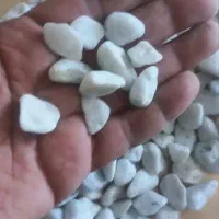 سلام سنگ و شن کف آکواریوم کلیویی هست