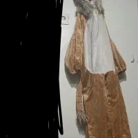 تن پوش با طرح شیر