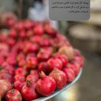 مشاوره زناشویی