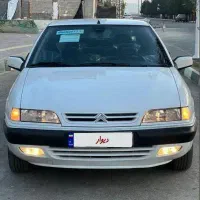 زانتیا درحد صفر خشک