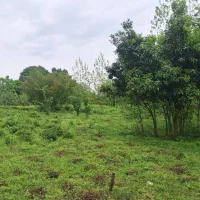 300متر-مسکونی-با-انشعابات-خوش-قواره