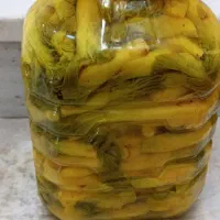 ترشی بیلهر