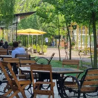 صاحب ویلای آرزو هات باش|فروش خانه و ویلا|آسارا, |دیوار