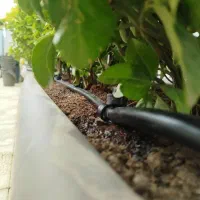 نصب و اجرای آبیاری قطره ای و بارانی|خدمات باغبانی و درختکاری|کرج, شهرک بنفشه|دیوار