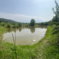 اجاره کلبه سوئیسی برکه و جکوزی داغ لوکیشن دنج عالی|اجارهٔ کوتاهمدت ویلا و باغ|شفت, |دیوار