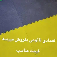 تاتومی