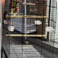 قفس بزرگ طوطی بزرگ آرا کاکادو کاسکو