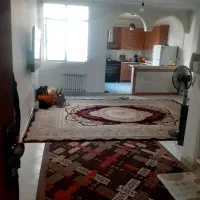 پونک همیلا۶۷متری