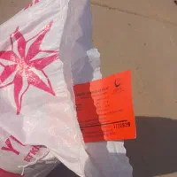 بذر گندم اوکراینی|گل و گیاه طبیعی|اهواز, زندوکیلی|دیوار