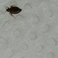 ضدعفونی و سم پاشی اماکن ومنازل