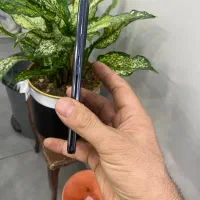 دو سیم کارت 256در حد نوGalaxy A53سامسونگ|موبایل|تهران, میرداماد|دیوار