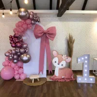 اجرای تولد بدون ورودی سالن|خدمات پذیرایی، مراسم|تهران, قیطریه|دیوار