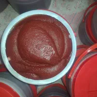 رب گوجه فرنگی طلیعه