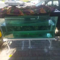 آکواریوم بزرگ 1/5 متری