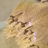 جارو|جاروبرقی، جارو شارژی، بخارشو|کوهدشت, |دیوار