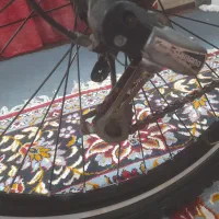 دوچرخه ۲۶|دوچرخه، اسکیت، اسکوتر|حمیدیه, |دیوار