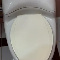 توالت فرنگی گلسار