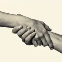 عروس هلندی پیدا شده