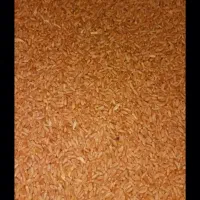 گندم مهرگان تمیز