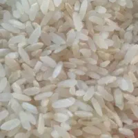 برنج محلی کافیروزی