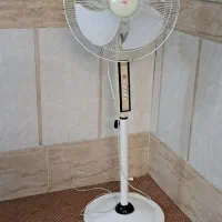 پنگه ایستاده تمیز