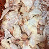 فروشنده و تخته کار مرغ فروشی