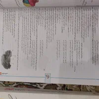 زیست پینوکیو ۱۴۰۱ و مسائل شیمی نشرالگو ۱۴۰۲|کتاب و مجله آموزشی|قم, بنیاد|دیوار