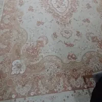 فرش ۱۲ متری|فرش|دورود, |دیوار