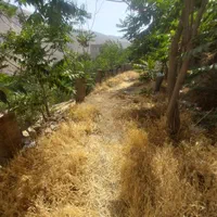 فروش زمین ۱۶۰ متری در کن|فروش زمین و ملک کلنگی|تهران, کن|دیوار