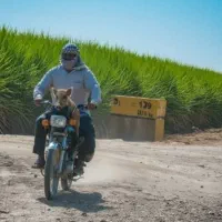 تخم اسپوست وتخم شبدل