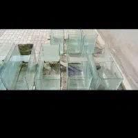 آکواریوم ۶ میل|ماهی|نیشابور, شهرک بهداری|دیوار