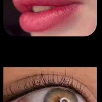 شیدینگ لب و بن مژه