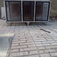 قفس|لوازم جانبی حیوانات|کرمانشاه, |دیوار
