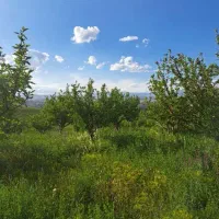 قطعات ویلایی ۷۰۰ تا ۲۰۰۰ متری در شهرک یل‌سویی