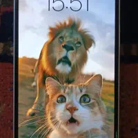 آیفون13normal|موبایل|قوچان, |دیوار