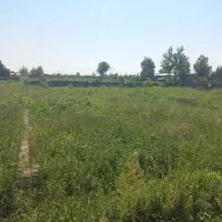 فروش ۴۲۱ متر زمین مسکونی روستای الکام لتوم پره سر|فروش زمین و ملک کلنگی|پره‌سر, |دیوار