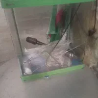 اکواریوم و وسایل آن
