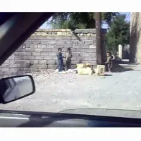 زمین