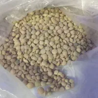 عدس