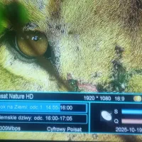 نصب آنتن خرید و فروش