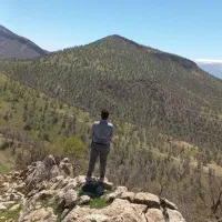 کار بنای پلاستر دیوار چینی شیب بندی کار باکیفیت