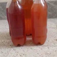 ابغوره یاسوج