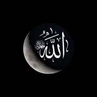 پیداشده