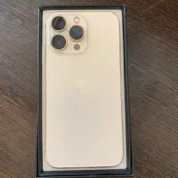 13pro