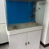 آکواریوم شرکتی