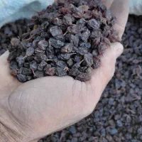 کشمش ۱۵۰ کیلو