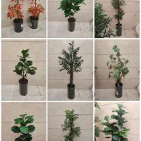 تولید و پخش درختچه وارداتی مصنوعی