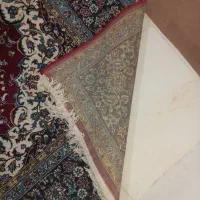 فرش نه متری زمینه لاکی|فرش|سبزوار, قلعه‌نو دهزار|دیوار