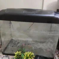 تلویزیون سامسونگ و اکواریوم|تلویزیون و پروژکتور|مشهد, سراب|دیوار