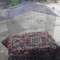 دوعدد قفس بزرگ ۴۰۰هزار